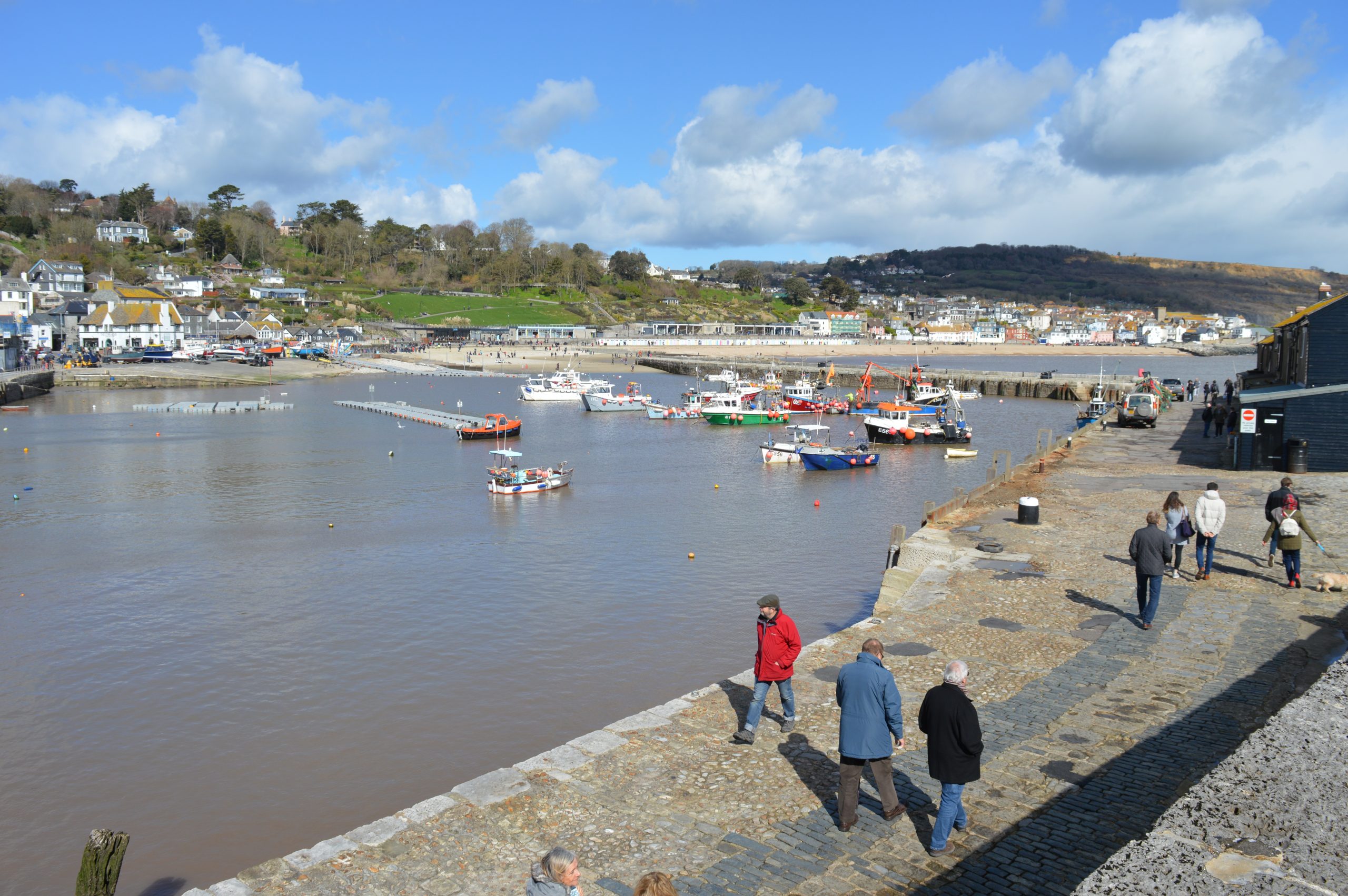 The Cobb